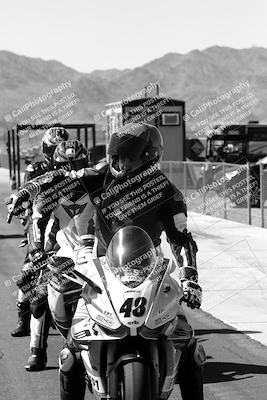 media/Mar-08-2025-TrackXperience (Sat) [[277b597a28]]/1-Around the Pits - Pre Grid/